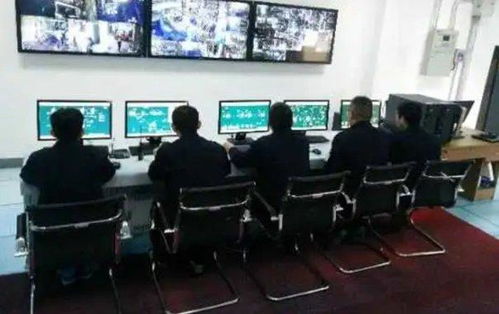 雙樂股份 以綠色工廠與核心產品引領行業發展