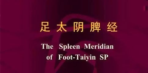 高級(jí)催乳師必學(xué)穴位 大包穴